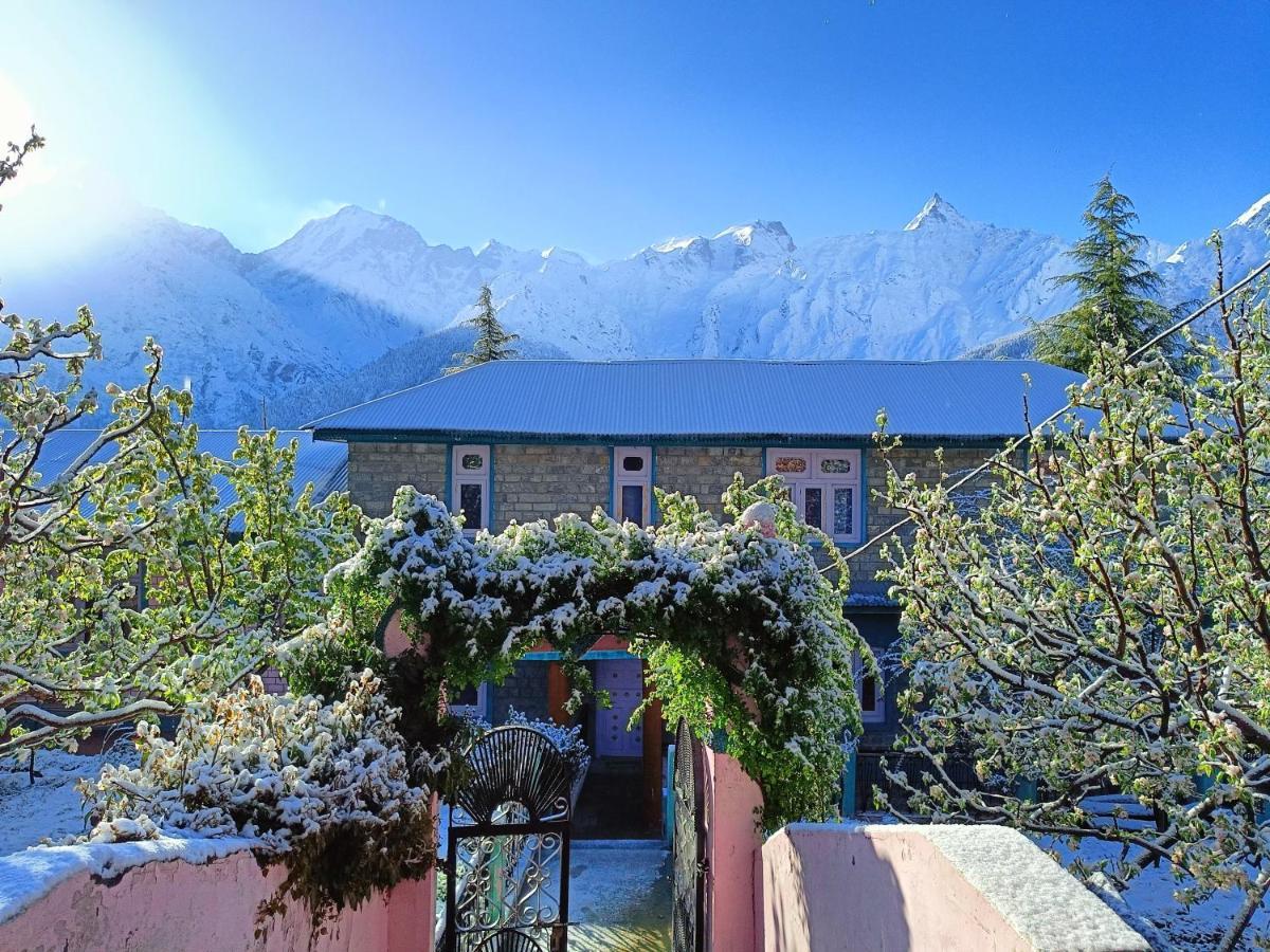 Farmvilla Homestay Kalpa Esterno foto