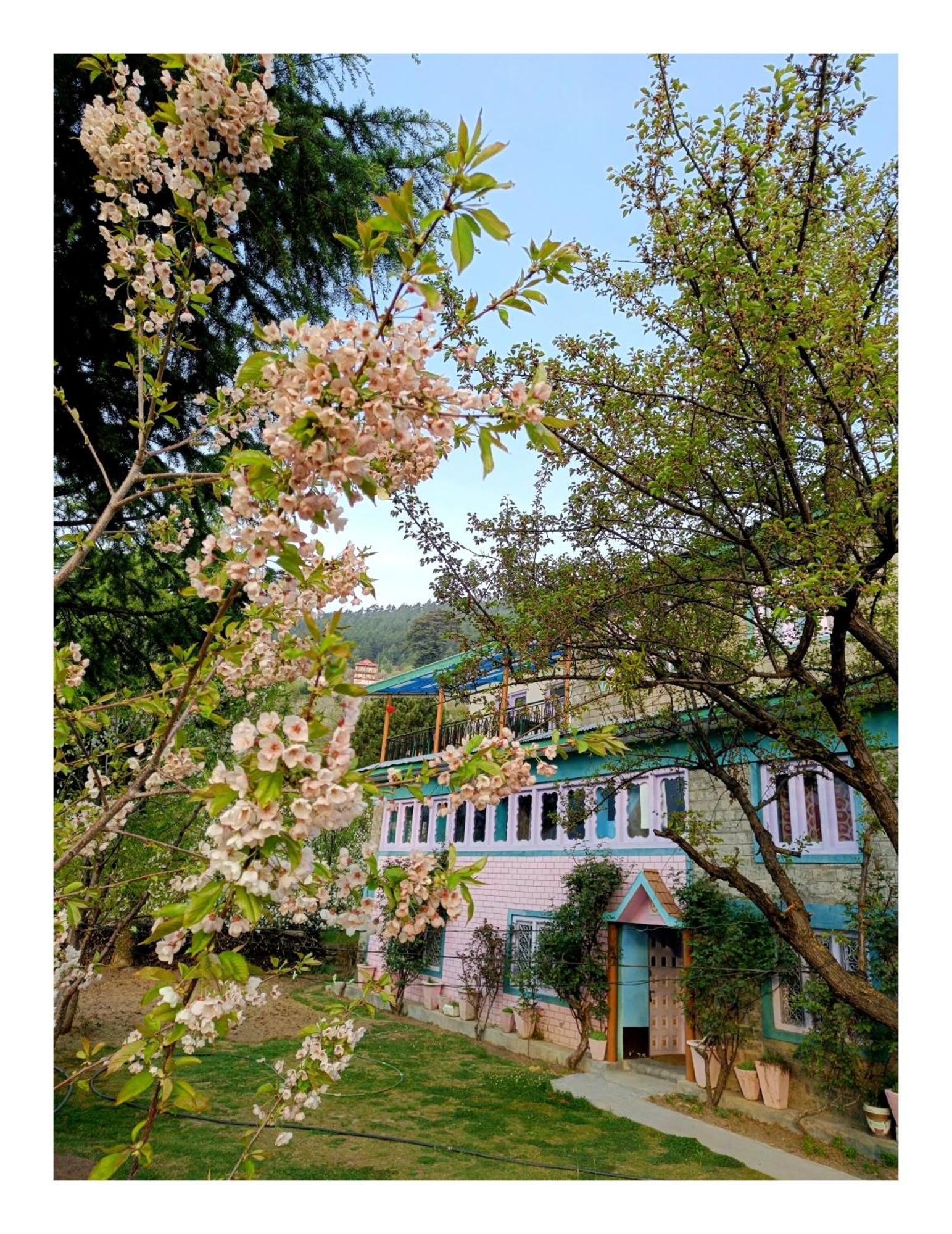 Farmvilla Homestay Kalpa Esterno foto