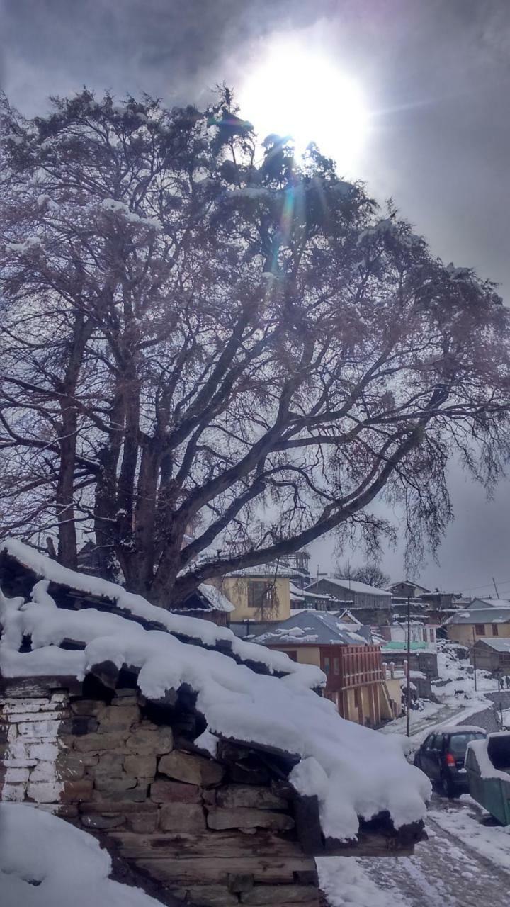 Farmvilla Homestay Kalpa Esterno foto