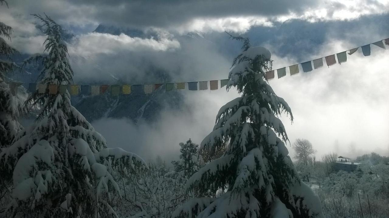 Farmvilla Homestay Kalpa Esterno foto